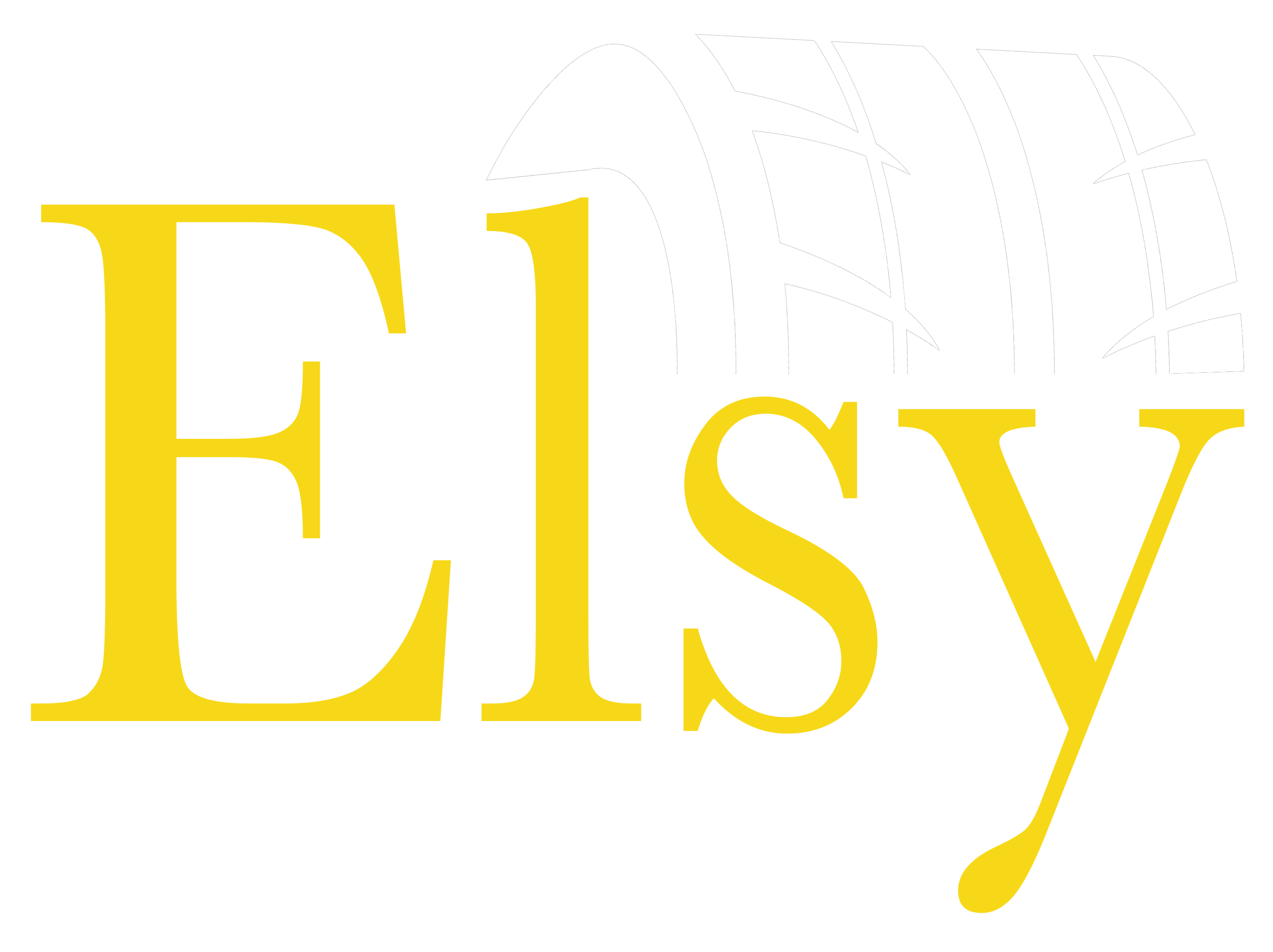 Elsy Tire Wholesale